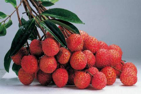 Litchi 3